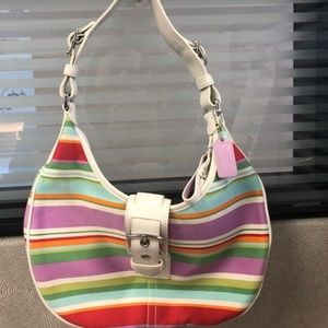 Multi Striped Hobo Bag